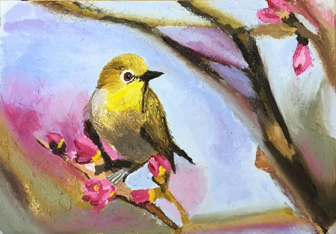 Learn to paint birds Learn to paint birds