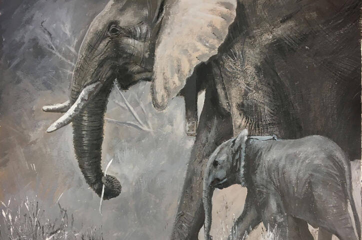Learn to paint animals Learn to paint animals